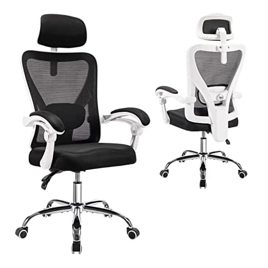 ACCHAR Ergonomic Office Chair