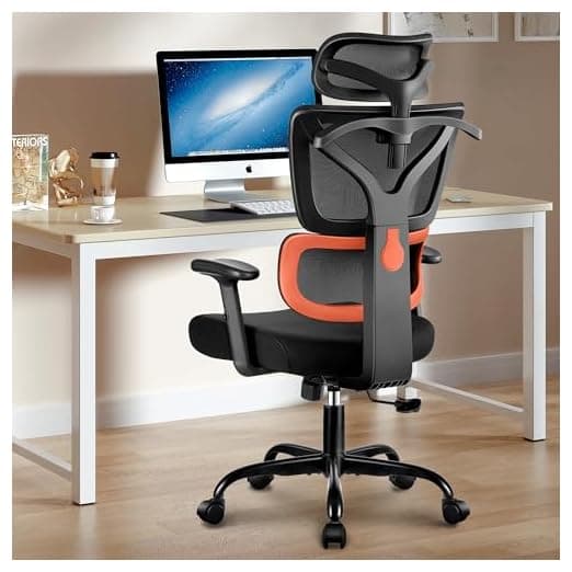 Winrise Office Chair Ergonomic Desk Chair
